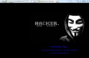 Hacktivisti: eroi in versione 2.0