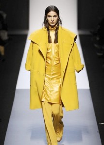 Max Mara A/I 2013-2014