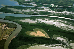 Il Cuore di Voh, Isola Grande Terre, Nuova Caledonia, Francia The Heart of Voh, New Caledonia, France © Yann Arthus-Bertrand 