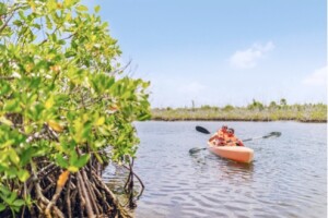 Grand Bahama, arcipelago delle Bahamas 