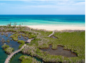 Grand Bahama, arcipelago delle Bahamas 